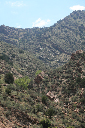 LAPhoto 230